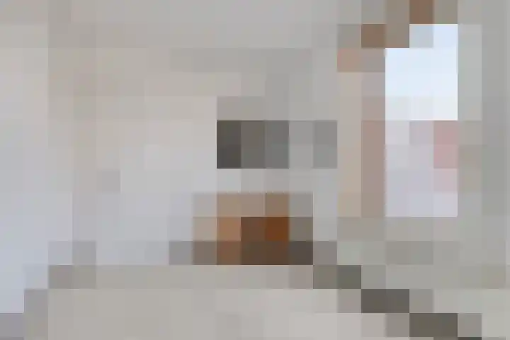 Helbeek 21 Venlo thumbnail 21