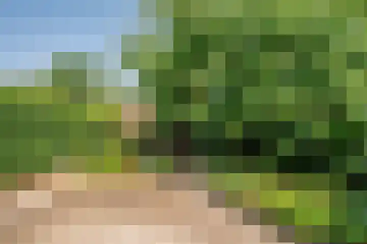 Helbeek 227 Venlo thumbnail 30