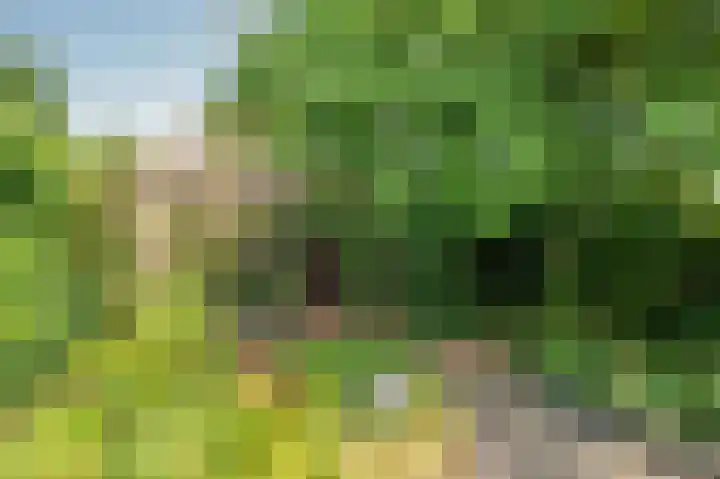 Helbeek 227 Venlo thumbnail 31