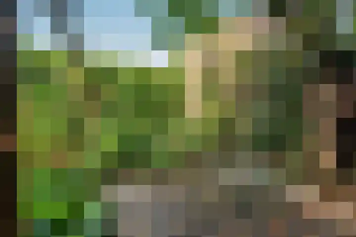 Helbeek 227 Venlo thumbnail 32