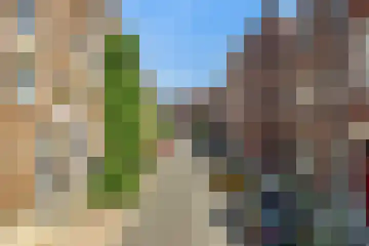 Helbeek 24 A Venlo thumbnail 22