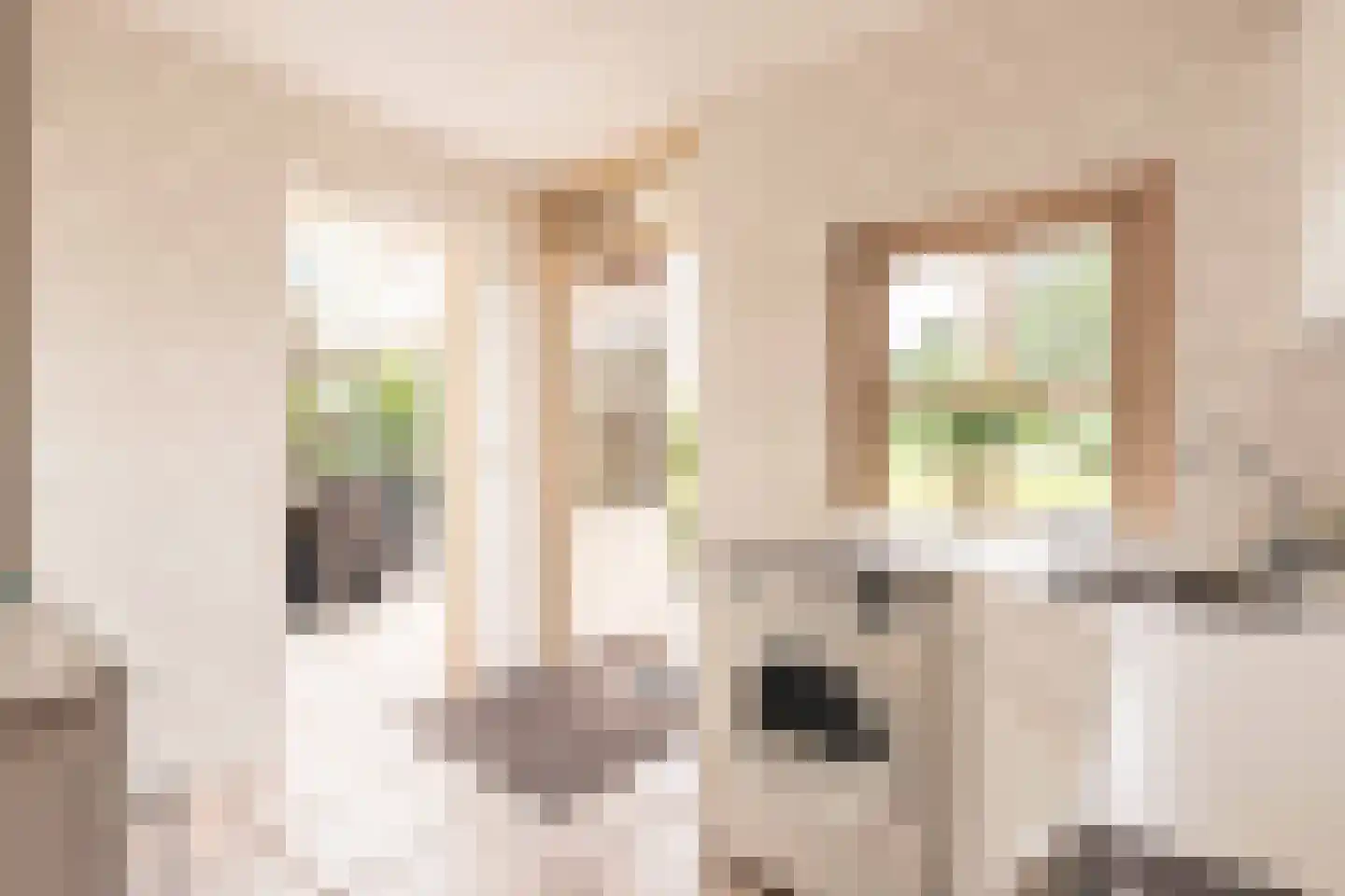 Held Jozuapad 1 Zaandam thumbnail 18