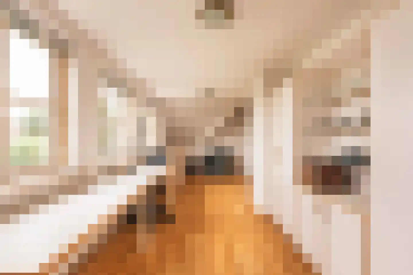 Held Jozuapad 1 Zaandam thumbnail 27