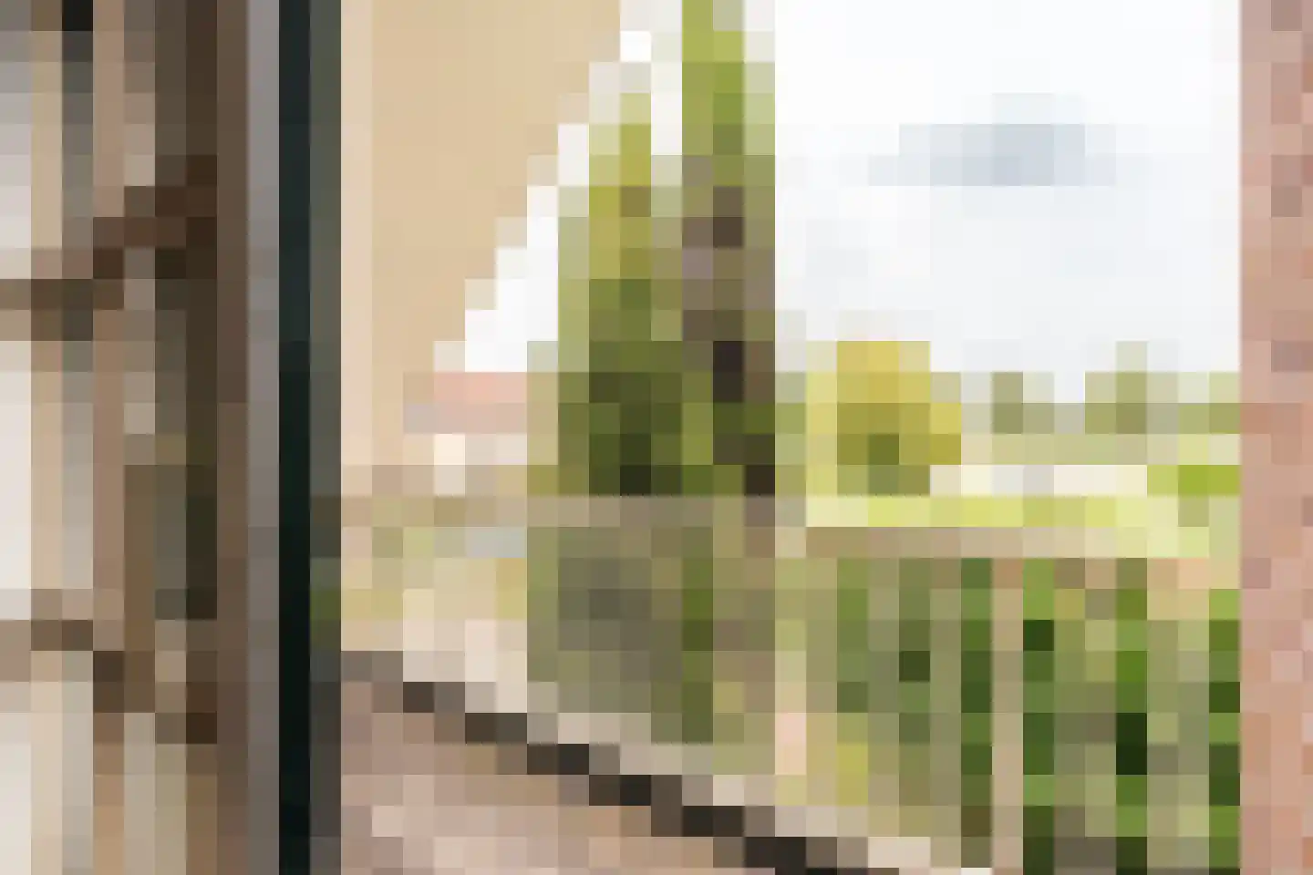 Held Jozuapad 1 Zaandam thumbnail 31