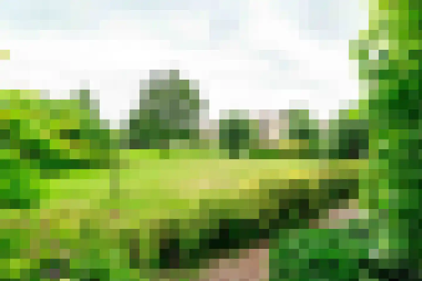 Held Jozuapad 1 Zaandam thumbnail 38