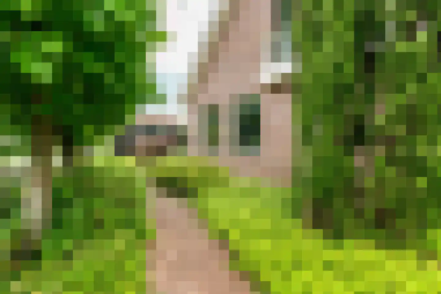 Held Jozuapad 1 Zaandam thumbnail 39