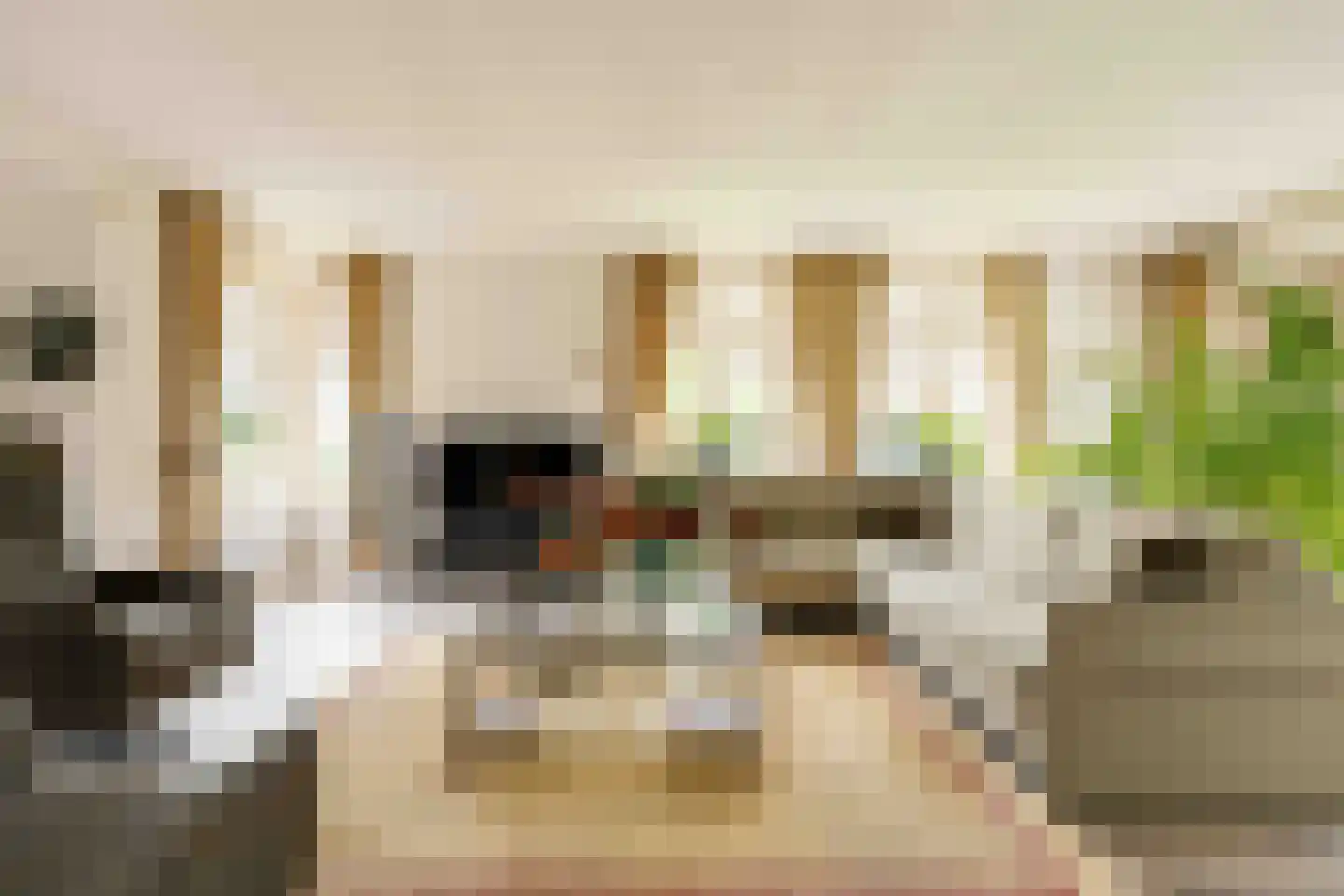 Held Jozuapad 1 Zaandam thumbnail 4