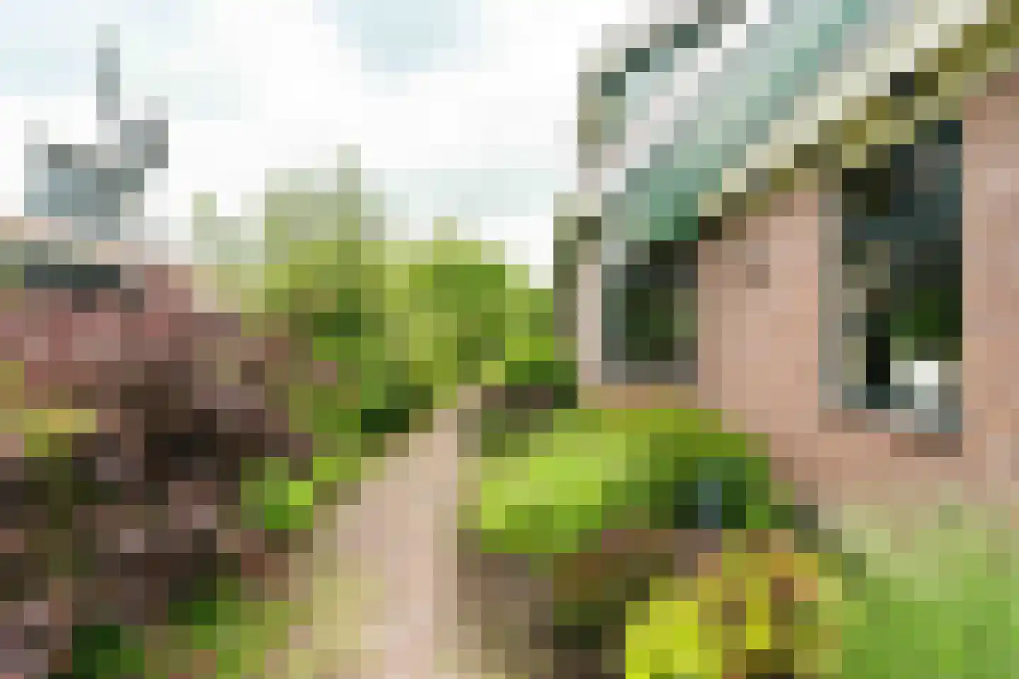 Held Jozuapad 1 Zaandam thumbnail 40