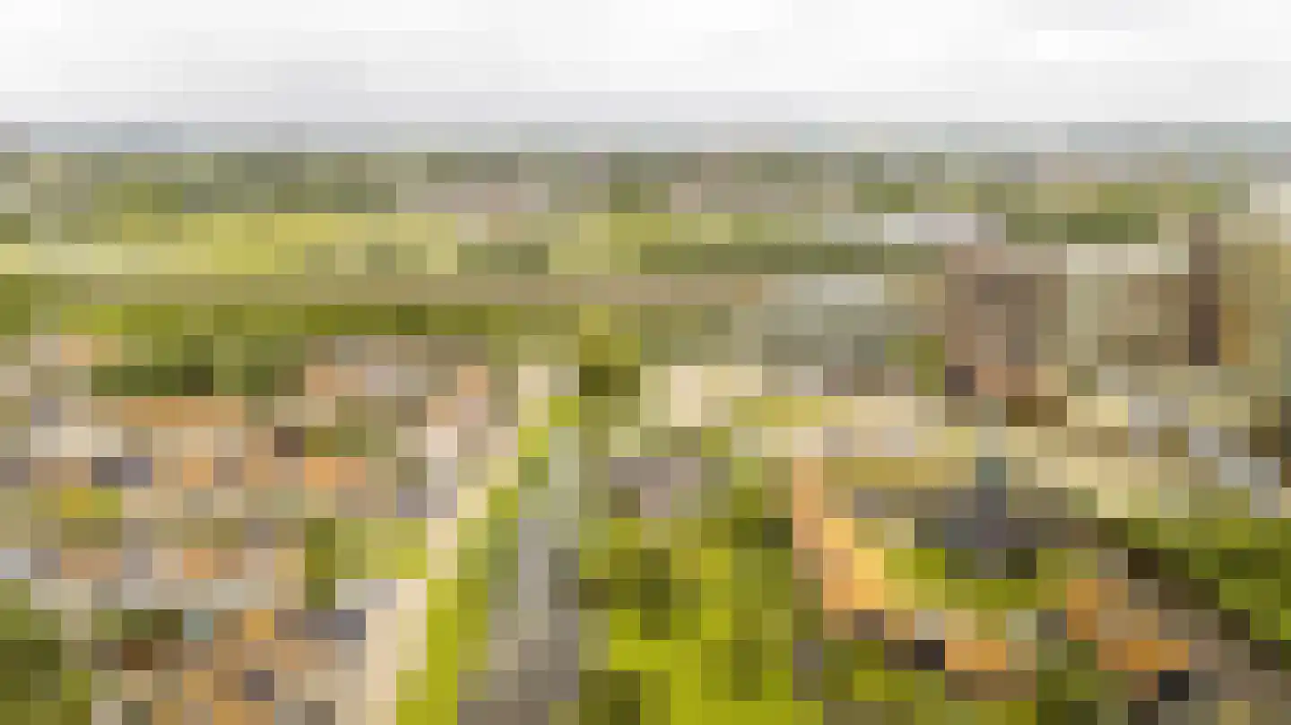 Held Jozuapad 1 Zaandam thumbnail 43