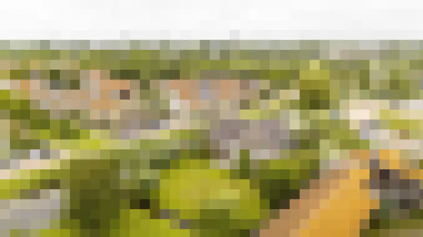 Held Jozuapad 1 Zaandam thumbnail 44