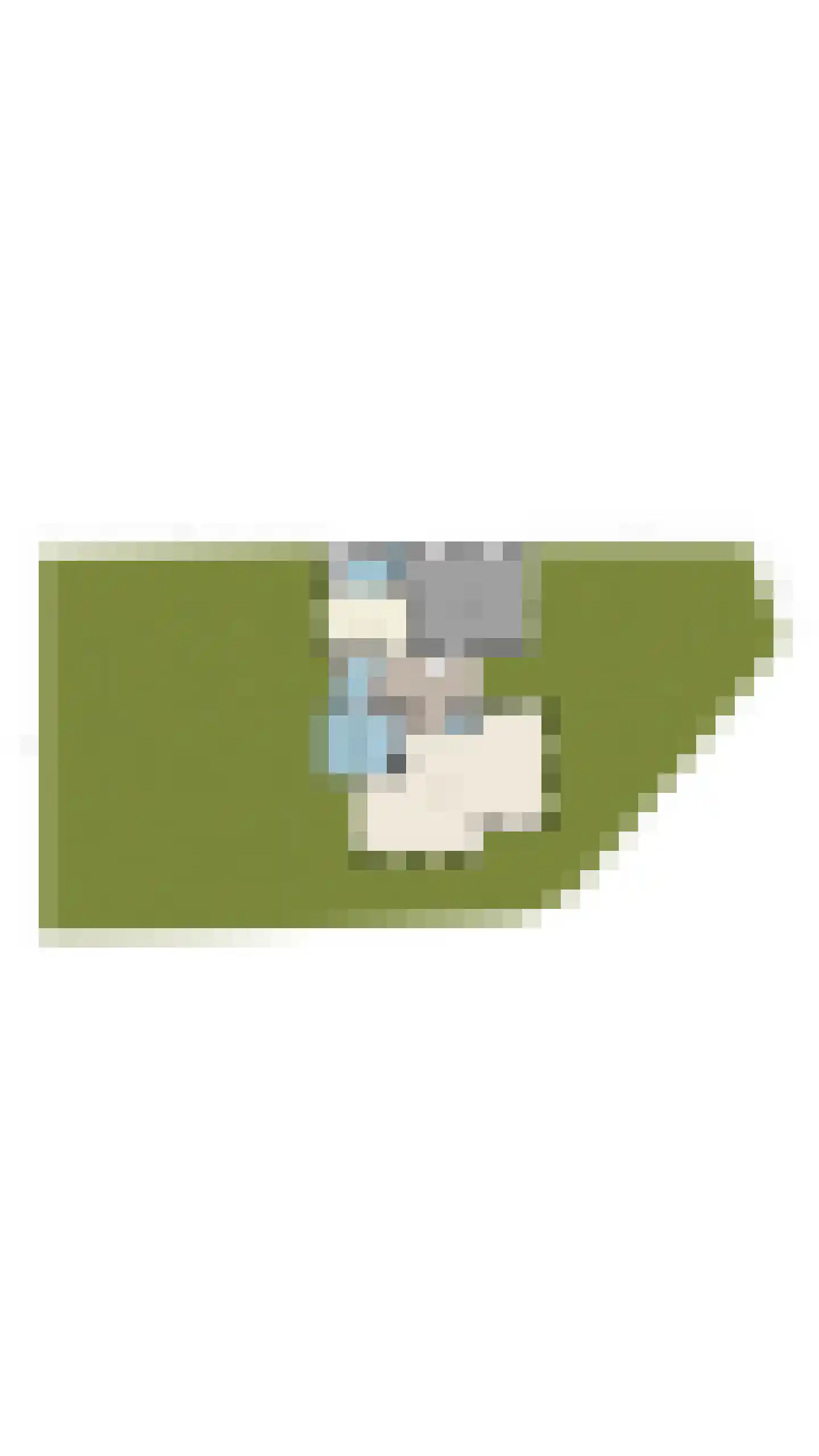 Held Jozuapad 1 Zaandam thumbnail 54