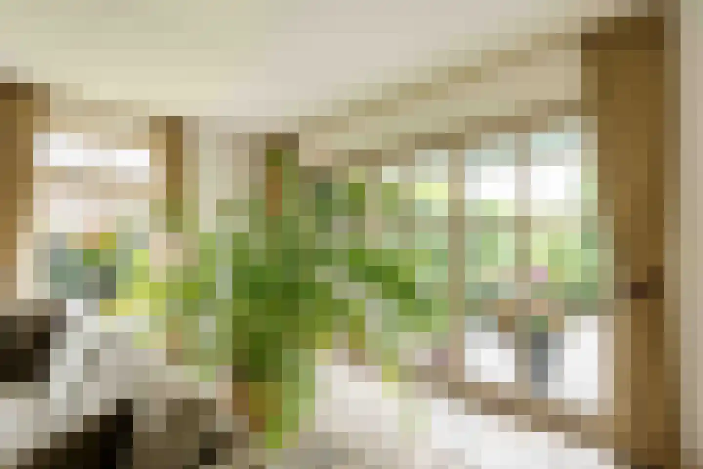 Held Jozuapad 1 Zaandam thumbnail 7