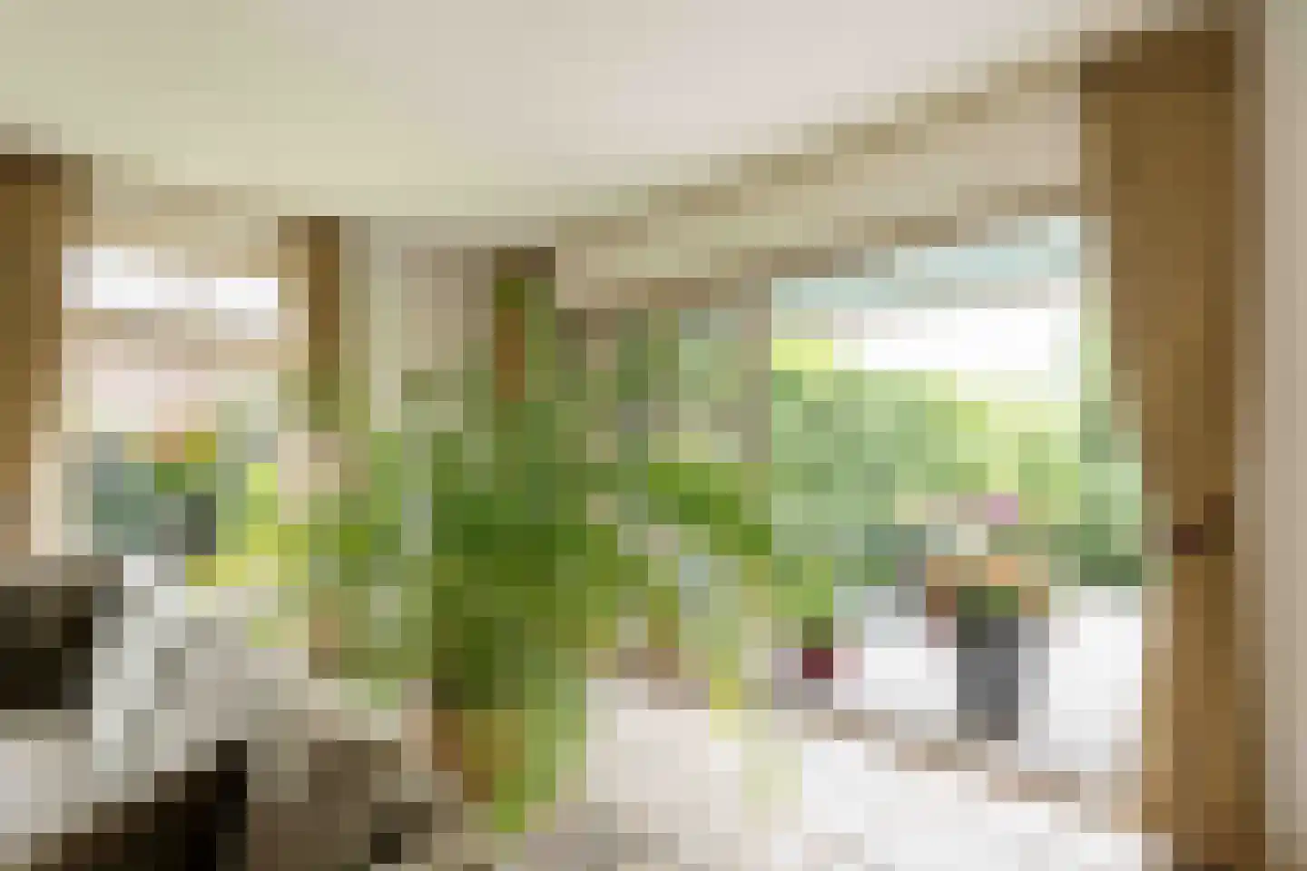 Held Jozuapad 1 Zaandam thumbnail 8