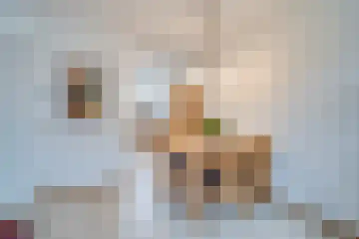 Heldens van de Mortellaan 14 Beesel thumbnail 10