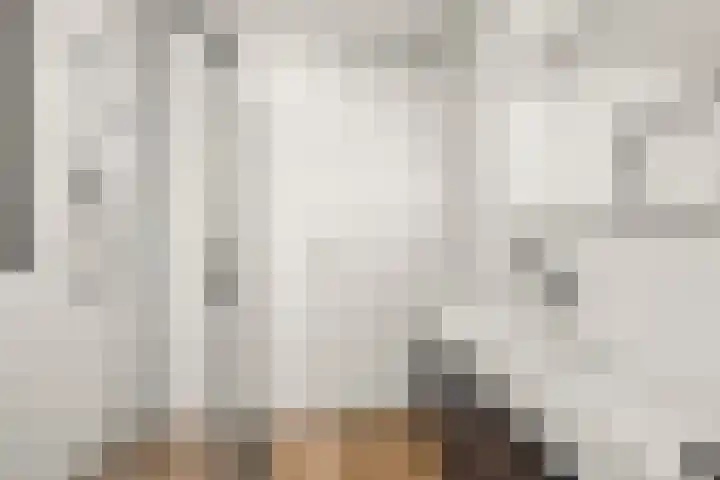 Heldens van de Mortellaan 14 Beesel thumbnail 16