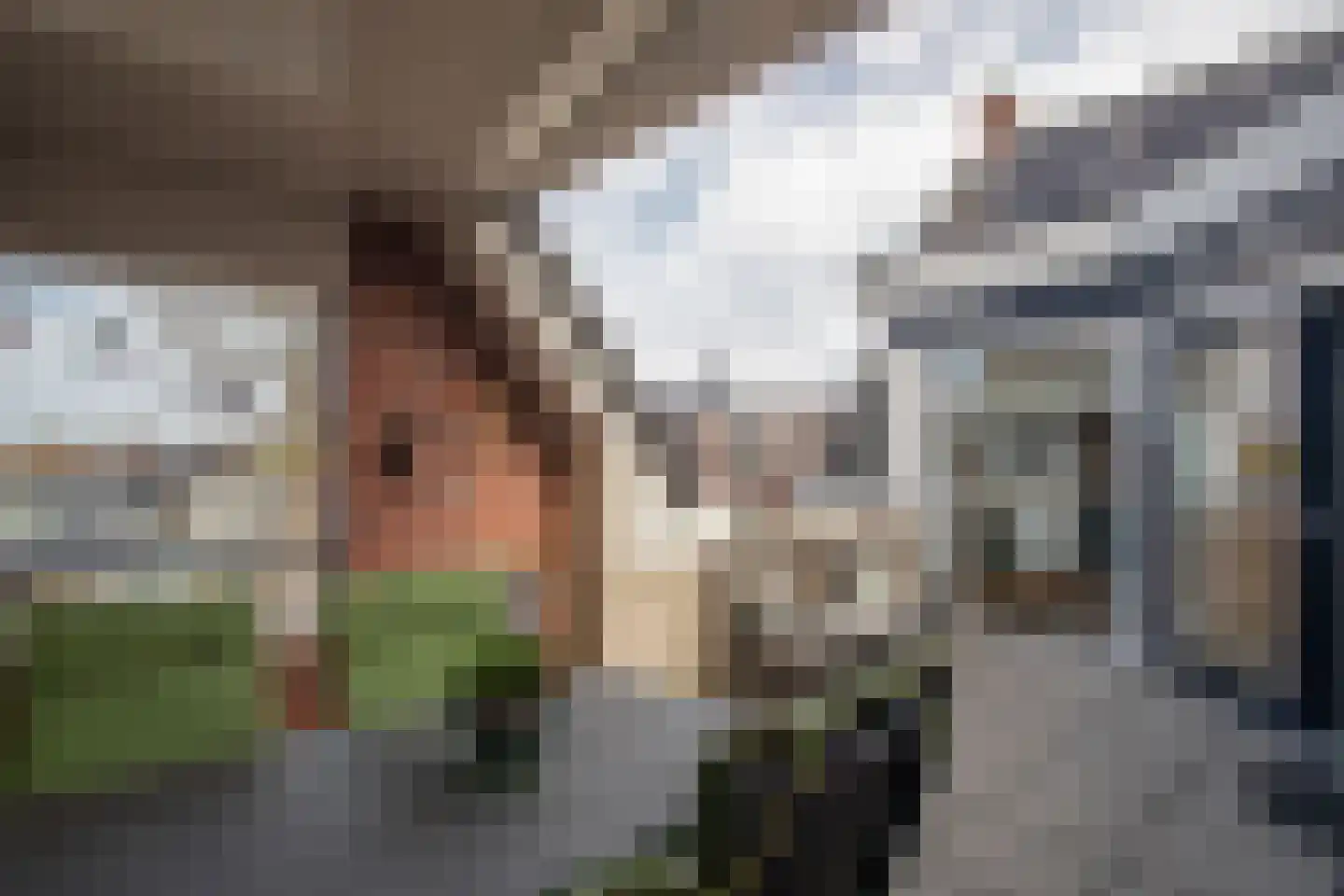 Heldens van de Mortellaan 14 Beesel thumbnail 17