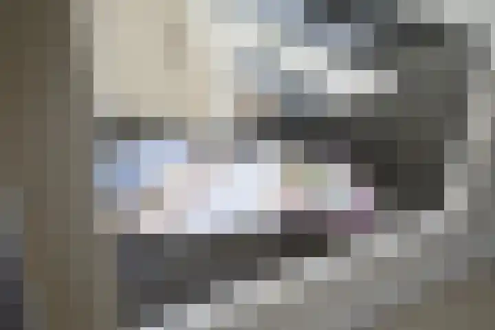 Heldens van de Mortellaan 14 Beesel thumbnail 18