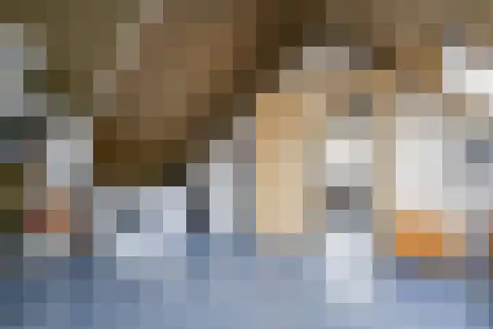 Heldens van de Mortellaan 14 Beesel thumbnail 24