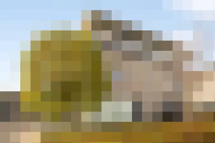Heldens van de Mortellaan 14 Beesel thumbnail 29