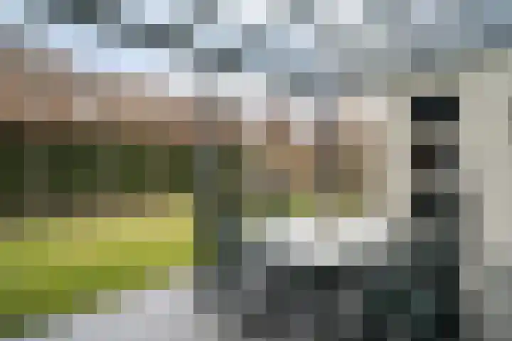 Heldens van de Mortellaan 14 Beesel thumbnail 31