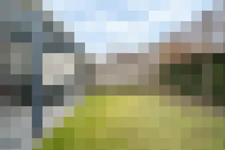 Heldens van de Mortellaan 14 Beesel thumbnail 32