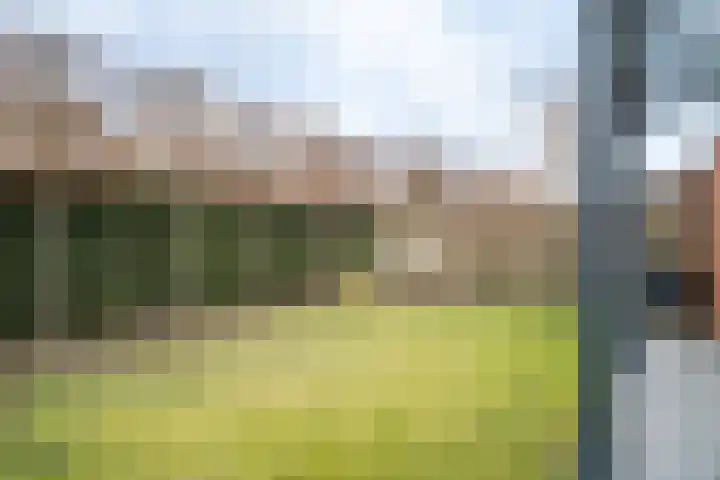 Heldens van de Mortellaan 14 Beesel thumbnail 34