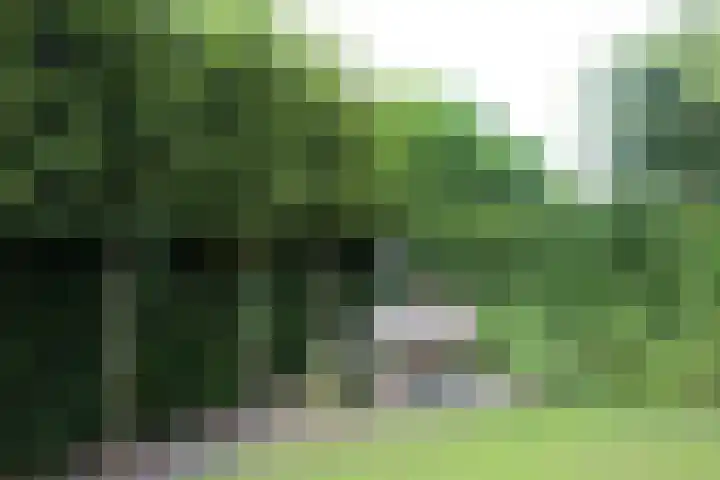 Heldens van de Mortellaan 14 Beesel thumbnail 38