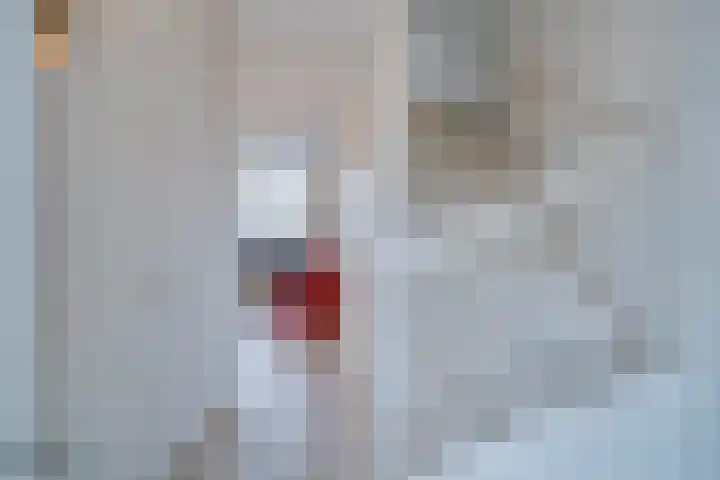 Heldens van de Mortellaan 14 Beesel thumbnail 4