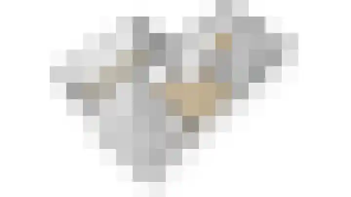 Heldens van de Mortellaan 14 Beesel thumbnail 41