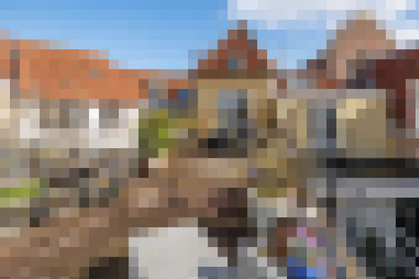 Heldens van de Mortellaan 14 Beesel thumbnail 42