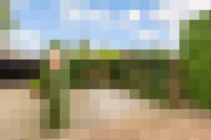 Heldens van de Mortellaan 14 Beesel thumbnail 43