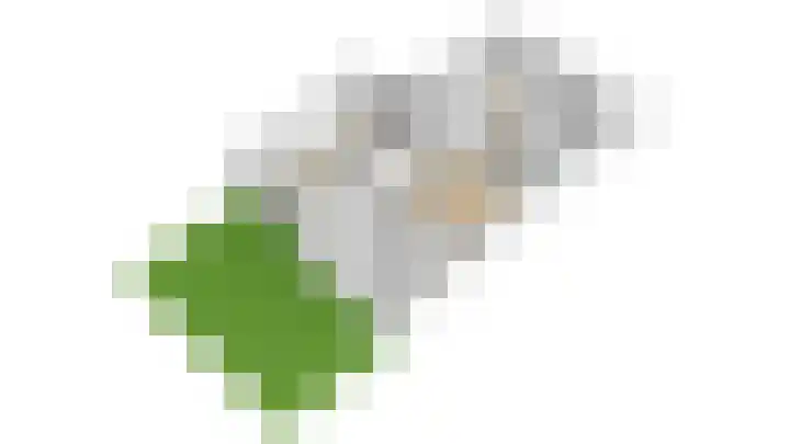 Heldens van de Mortellaan 14 Beesel thumbnail 47