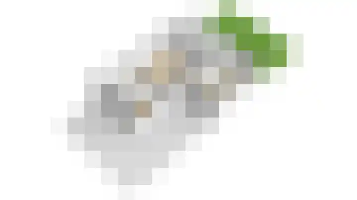 Heldens van de Mortellaan 14 Beesel thumbnail 48