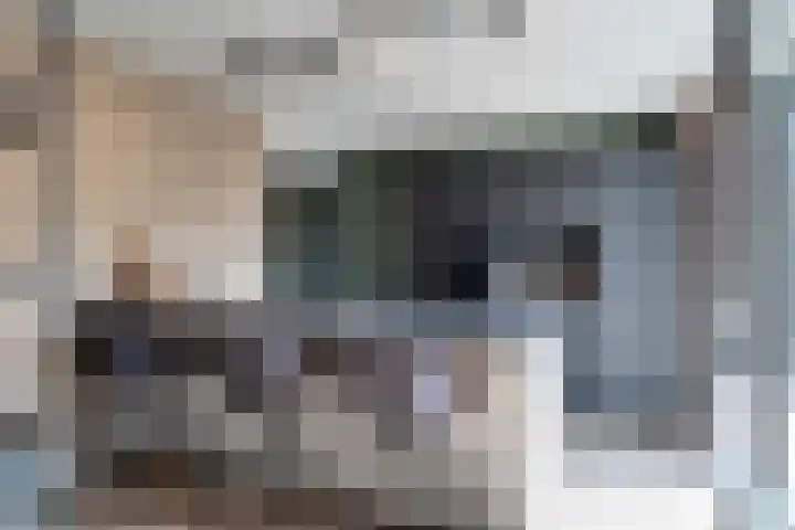 Heldens van de Mortellaan 35 Beesel thumbnail 14