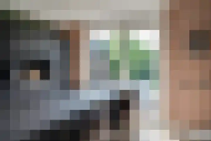 Heldens van de Mortellaan 35 Beesel thumbnail 16