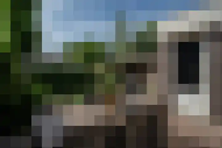 Heldens van de Mortellaan 35 Beesel thumbnail 20
