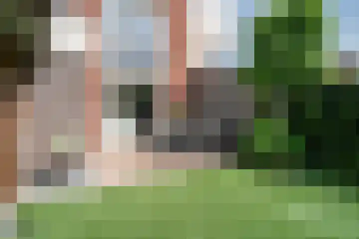 Heldens van de Mortellaan 35 Beesel thumbnail 25