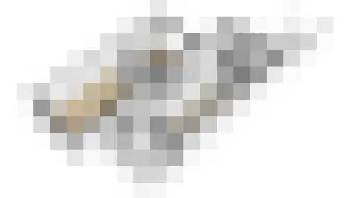 Heldens van de Mortellaan 35 Beesel thumbnail 41