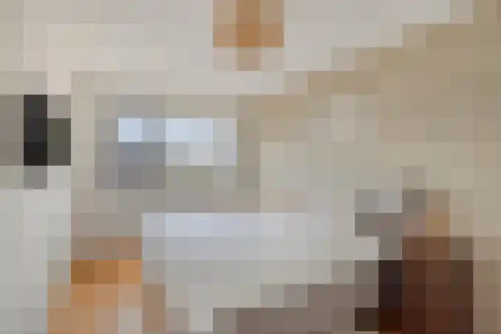 Heldens van de Mortellaan 8 Beesel thumbnail 12