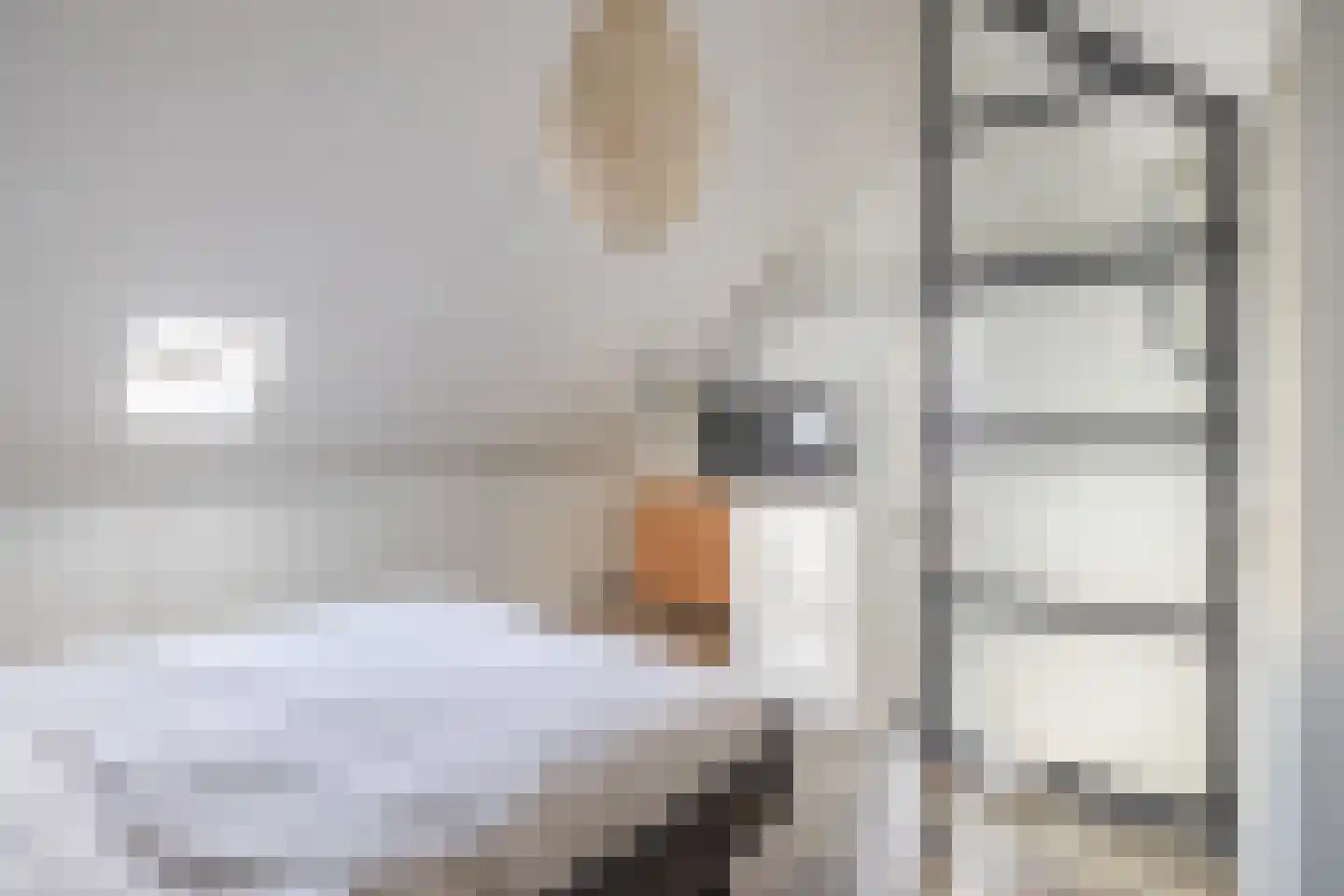 Heldens van de Mortellaan 8 Beesel thumbnail 15