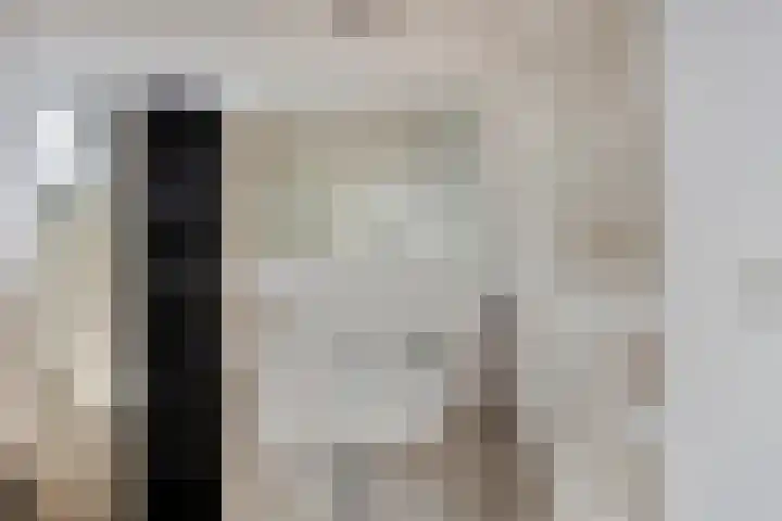 Heldens van de Mortellaan 8 Beesel thumbnail 16