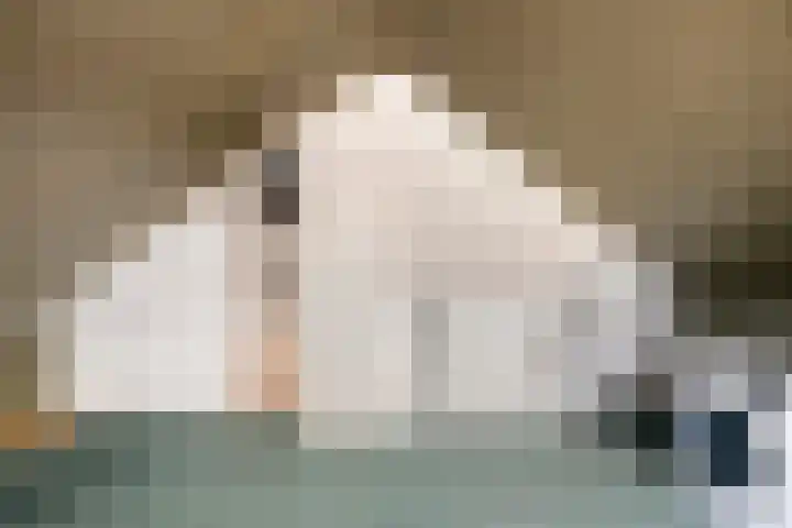 Heldens van de Mortellaan 8 Beesel thumbnail 21