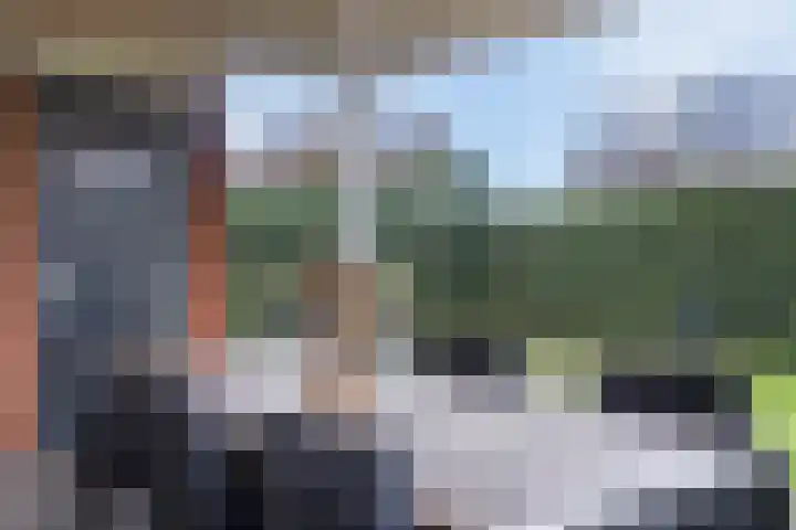 Heldens van de Mortellaan 8 Beesel thumbnail 24