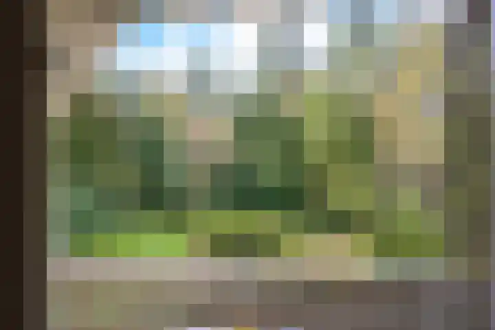 Heldens van de Mortellaan 8 Beesel thumbnail 5