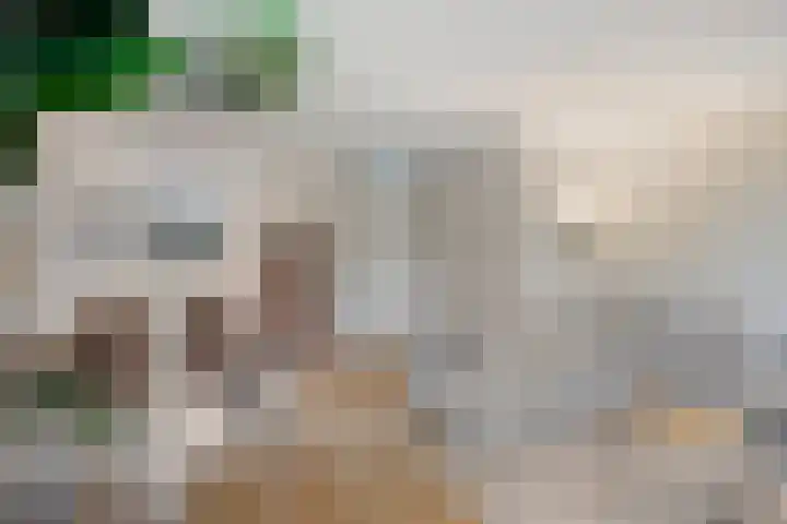 Heldens van de Mortellaan 8 Beesel thumbnail 7