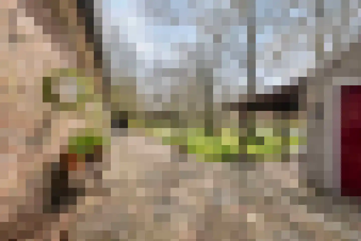 Heldensedijk 22 Meijel thumbnail 23