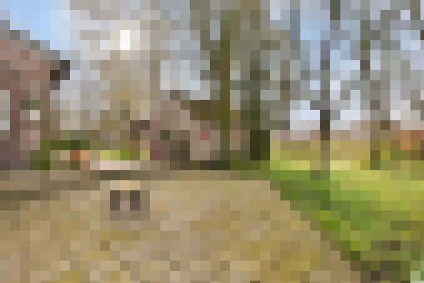 Heldensedijk 22 Meijel thumbnail 24