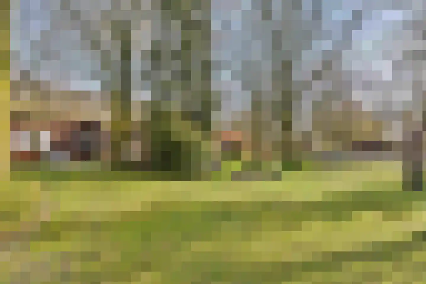 Heldensedijk 22 Meijel thumbnail 25