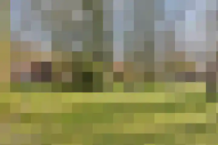 Heldensedijk 22 Meijel thumbnail 25