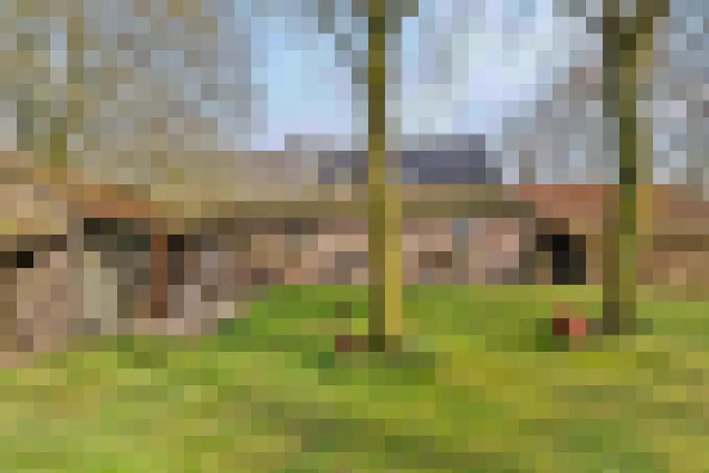 Heldensedijk 22 Meijel thumbnail 26